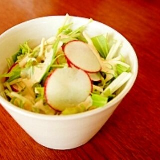 みそドレッシング マヨネーズレシピ 作り方の人気順 簡単料理の楽天レシピ